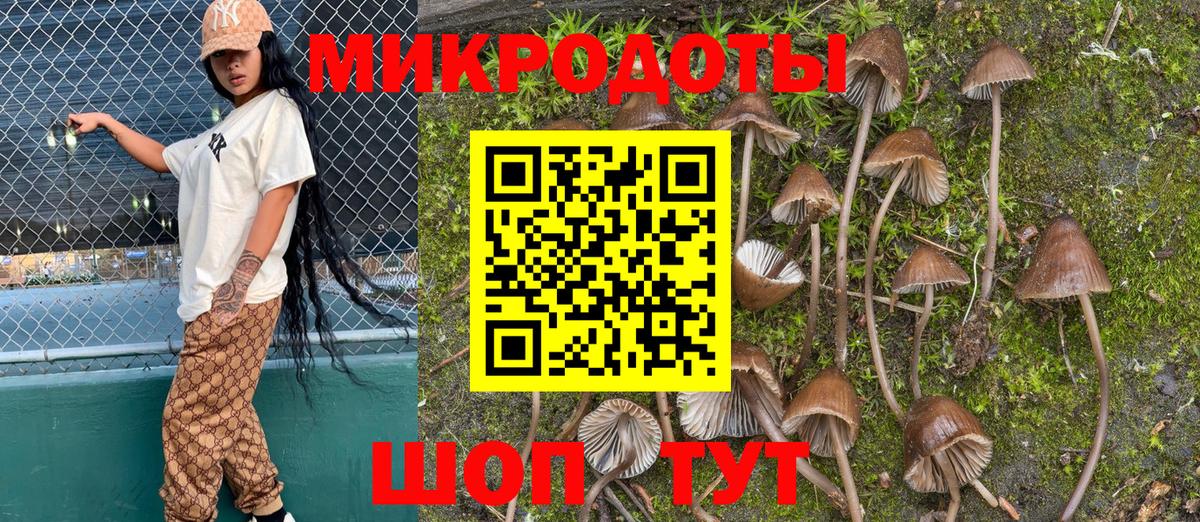 Псилоцибиновые грибы мухоморы Луга