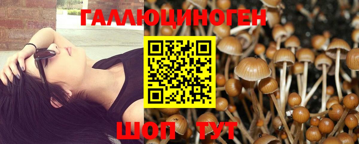 что такое   Галлюциногенные грибы MAGIC MUSHROOMS  Вход с VPN  Луга 